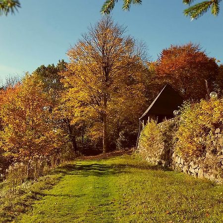 Parkhotel Schwarzenberg - Garni المظهر الخارجي الصورة