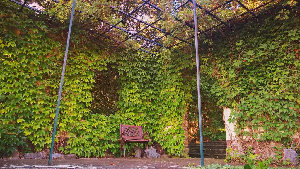 Parkhotel Schwarzenberg - Garni المظهر الخارجي الصورة