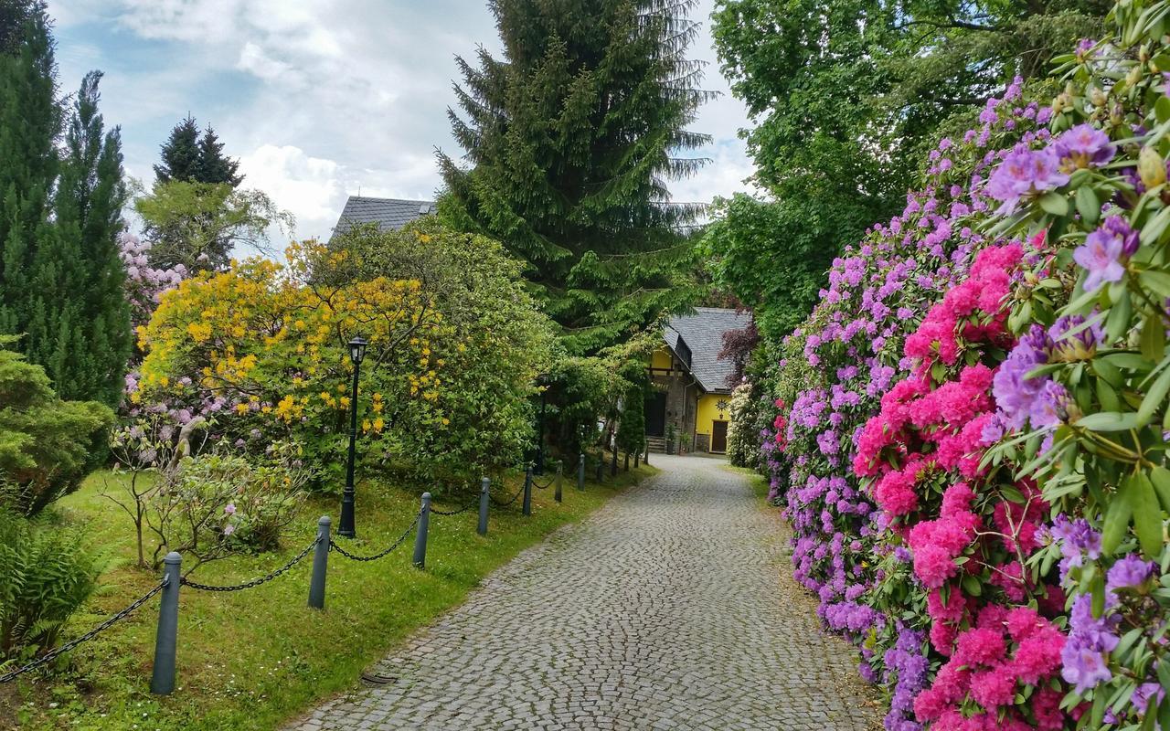 Parkhotel Schwarzenberg - Garni المظهر الخارجي الصورة